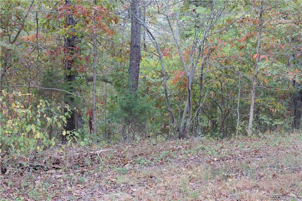 0 Dily Cir unit 1163213, Bella Vista, AR 72715 - photo 1