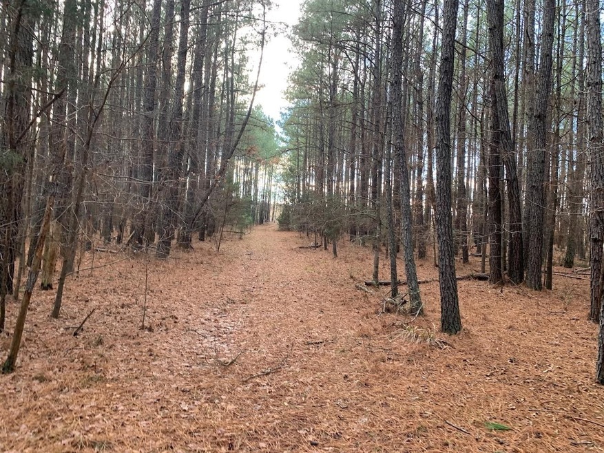 4120 N Carolina 96, Oxford, NC 27565 - photo 1