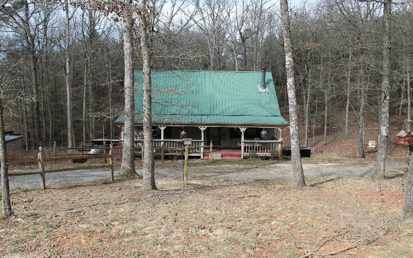Main View