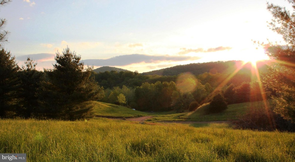 0 Evergreen Ct unit 1000403659, Bentonville, VA 22610 - photo 1