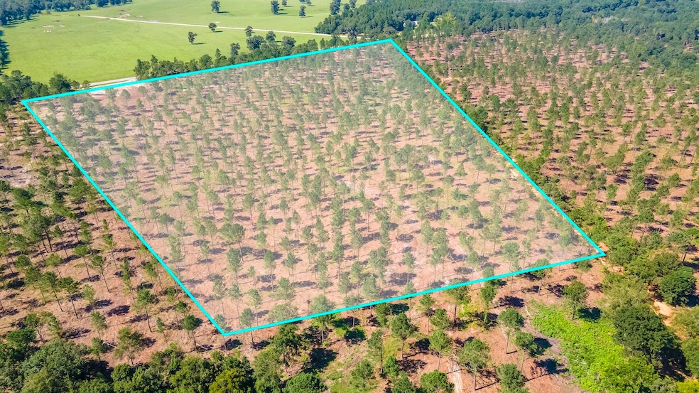 (Lot 10) Shadow Lane Camp Rawls Rd, Wagener, SC 29164 - photo 1