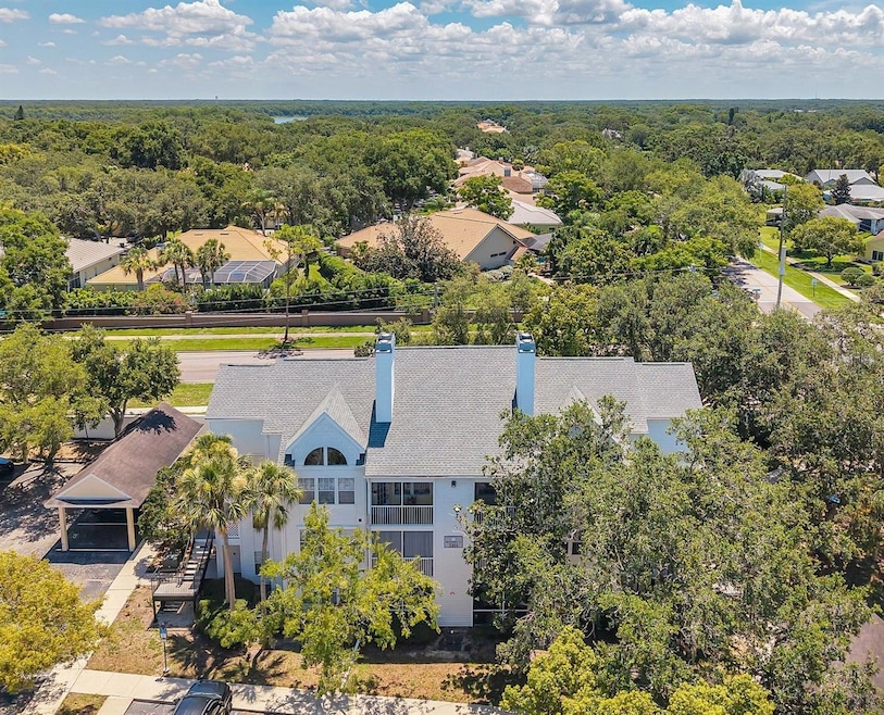Ideal Palm Harbor location