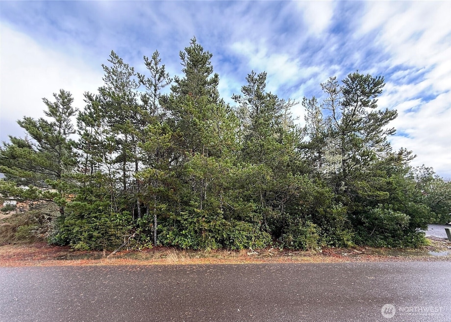 254 Olympic View Ave NE, Ocean Shores, WA 98569 - photo 1