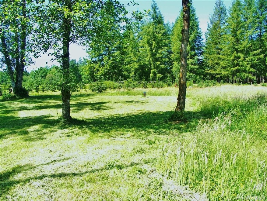 159 Johnson Rd W, Onalaska, WA 98570 - photo 1