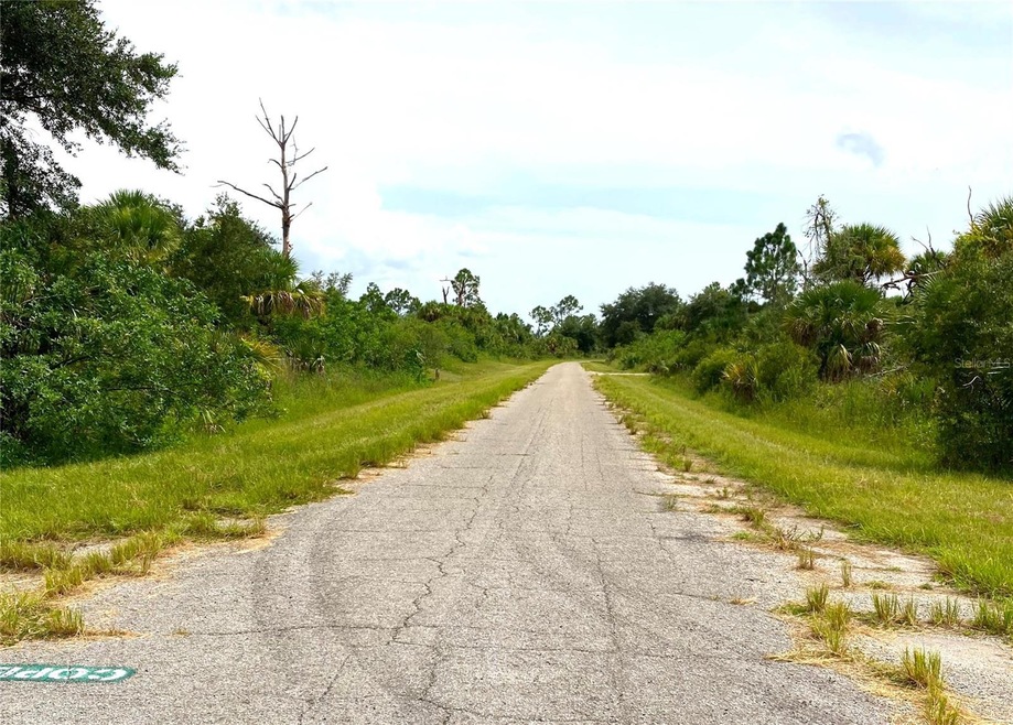 Street/Road View
