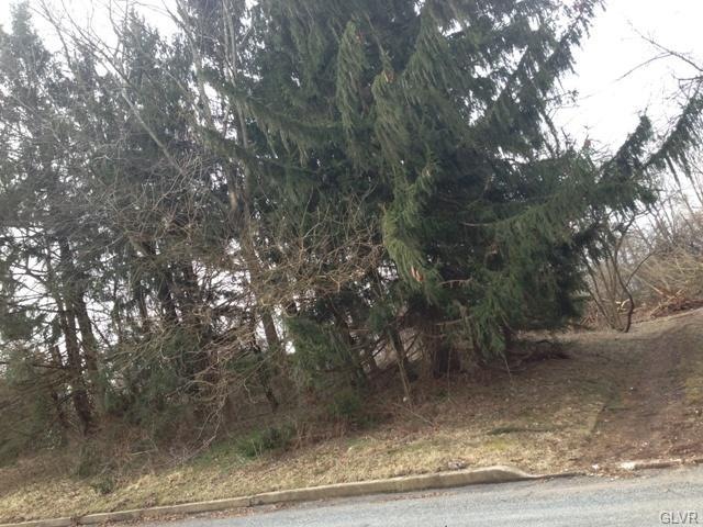 8234 Powder Ln, Zionsville, PA 18092 - photo 1