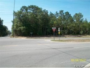 1990 E Norvell Bryant Hwy, Hernando, FL 34442 - photo 1