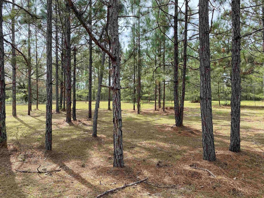 xxx H R Linzy Ln, Crawfordville, FL 32327 - photo 1