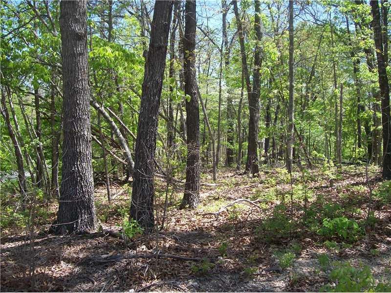 0 York Drive & Leeds Ln, Bella Vista, AR 72714 - photo 1