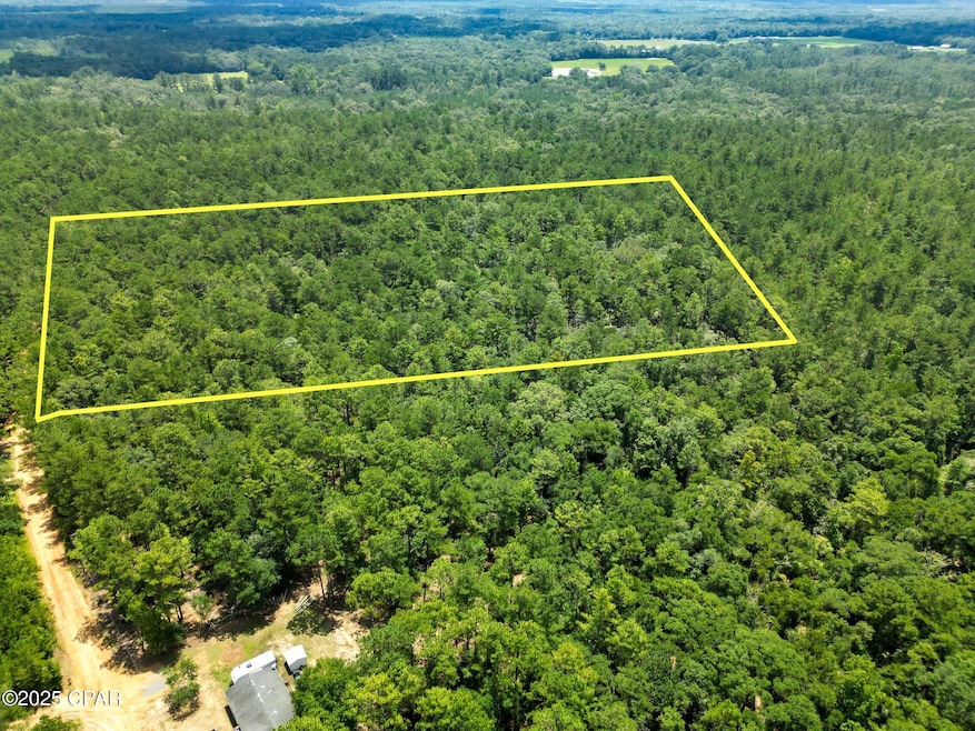 TBD Creek Run Rd, Vernon, FL 32462 - photo 1
