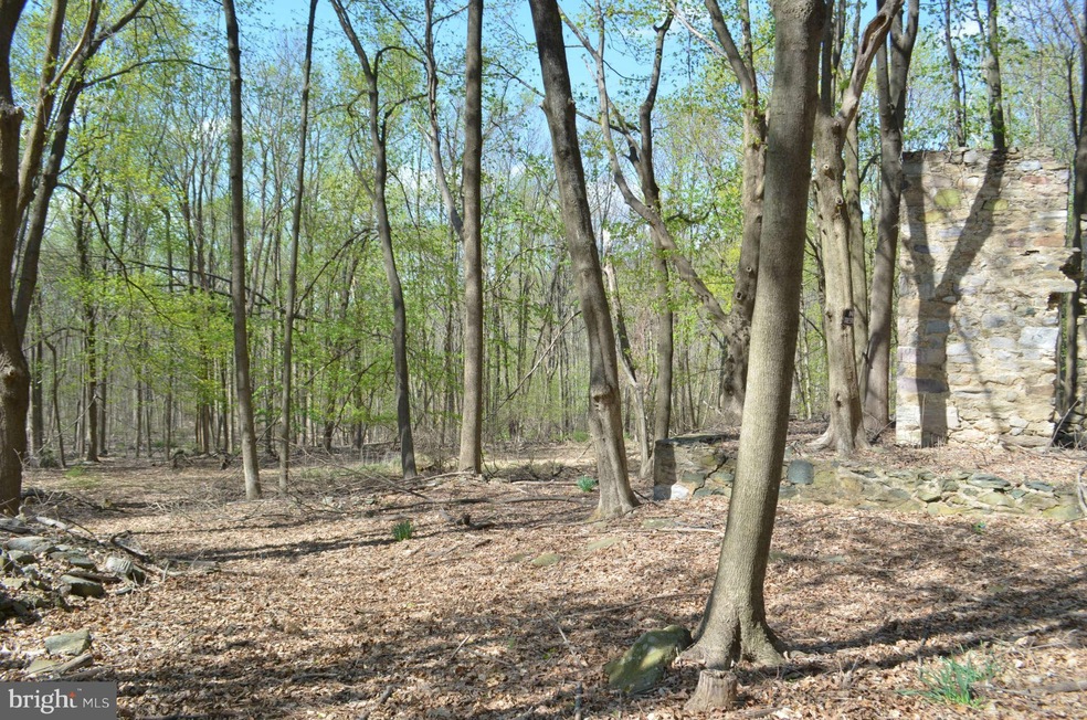 0 Raven Rocks Rd unit 1003475354, Bluemont, WV 20135 - photo 1