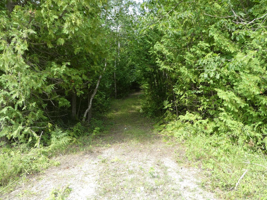 P1080354