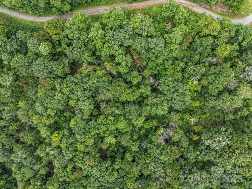 0 Peartree Dr unit 526 CAR4293152, Lake Lure, NC 28746 - photo 1