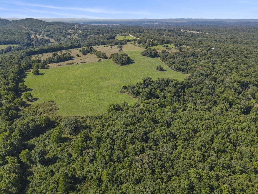 Green pasturee