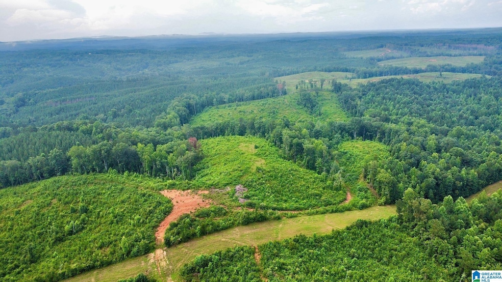 0 Johnson St unit 21425926, Heflin, AL 36264 - photo 1