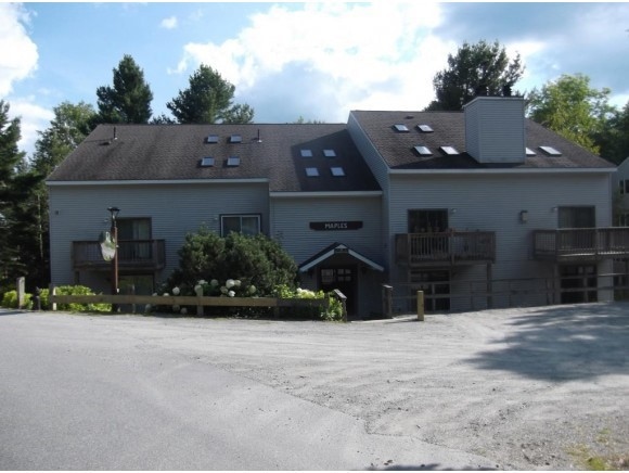 9 Snow Tree Ln unit Maple, West Dover, VT 05356 - photo 1