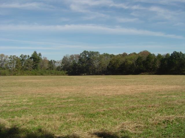 0 Philpot Rd unit 1874190, Bell Buckle, TN 37020 - photo 1