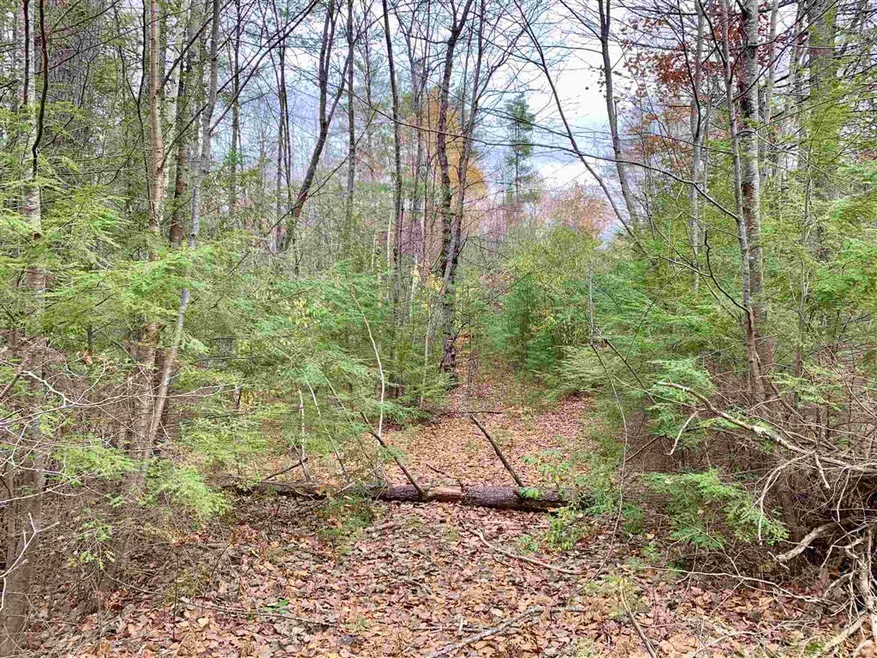 0 Mary Rowe Dr, Hillsboro, NH 03244 - photo 1