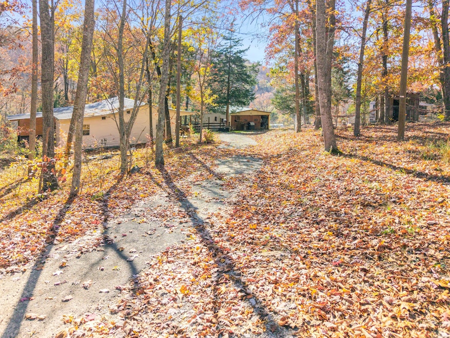 1171 Cannonball Photo-01