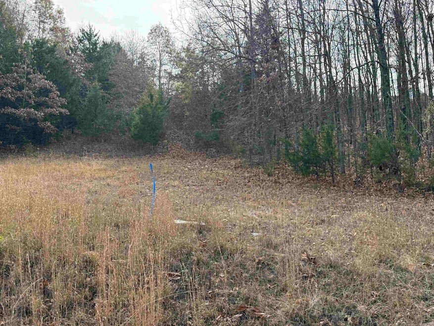 Tract 51 Rainbow Lake Rd, Austin, AR 72007 - photo 1