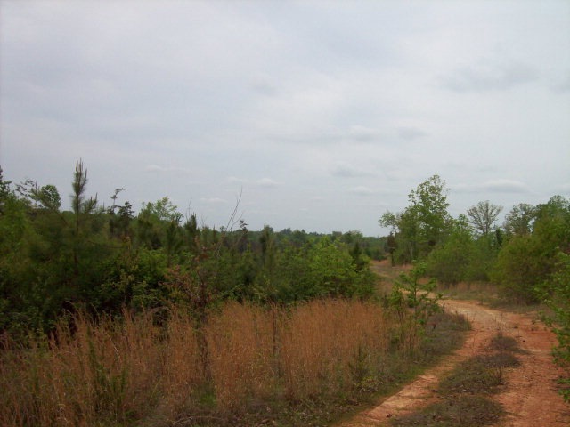 0 Courthouse Rd unit 34702, Lunenburg, VA 23974 - photo 1