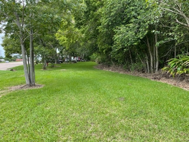 1034 W Highway 6, Alvin, TX 77511 - photo 1