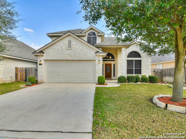 10218 Shetland Gate, San Antonio, TX 78254 - photo 1