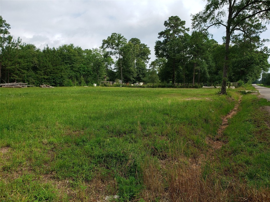 30711 Collier Smith Rd, Magnolia, TX 77354 - photo 1