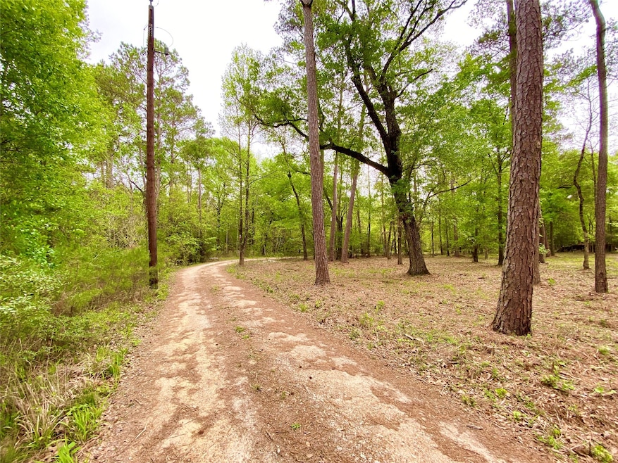 30118 Taylor Rd, Magnolia, TX 77354 - photo 1