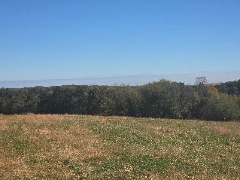 For Sale $360,000 • Co-Listing Agent