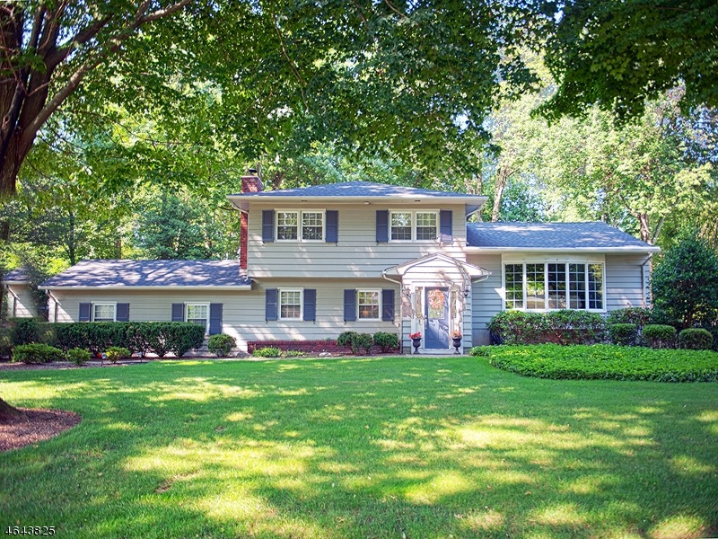 335 Meadowbrook Rd, Wyckoff, NJ 07481 - photo 1