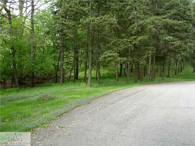 0 Pinetree Ln unit 81540, Lansing, MI 48911 - photo 1