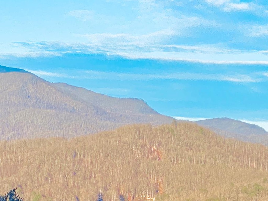 42 Nowhere Dr, Sylva, NC 28779 - photo 1