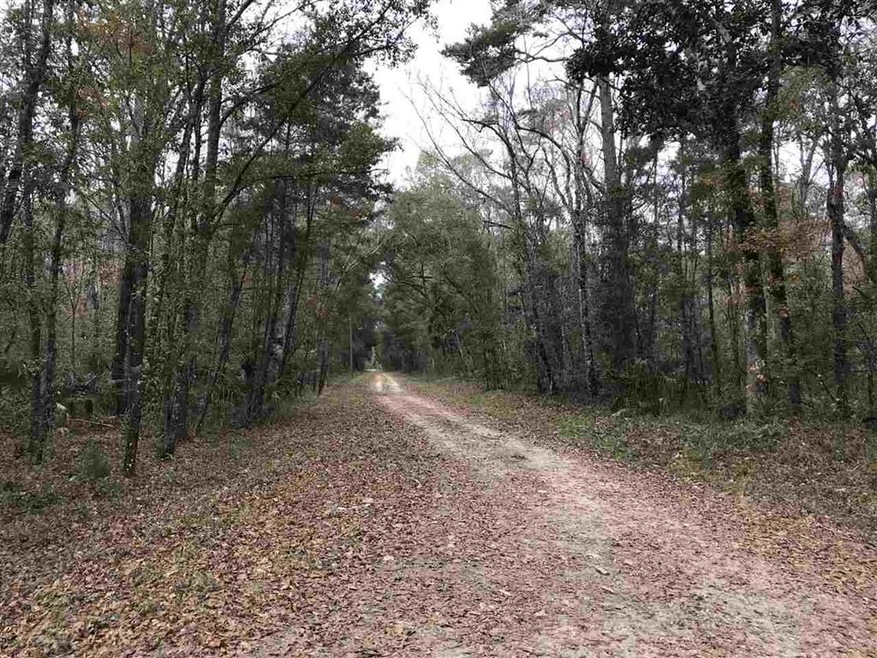 6 Stratton Ln, Crawfordville, FL 32327 - photo 1