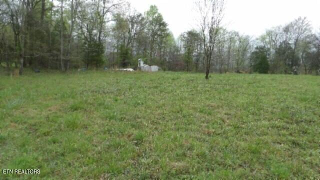 20.27ac Denton Rd, Moss, TN 38575 - photo 1