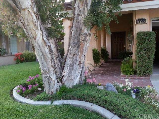 This beautiful, majestic Mella Luca Tree is enchan