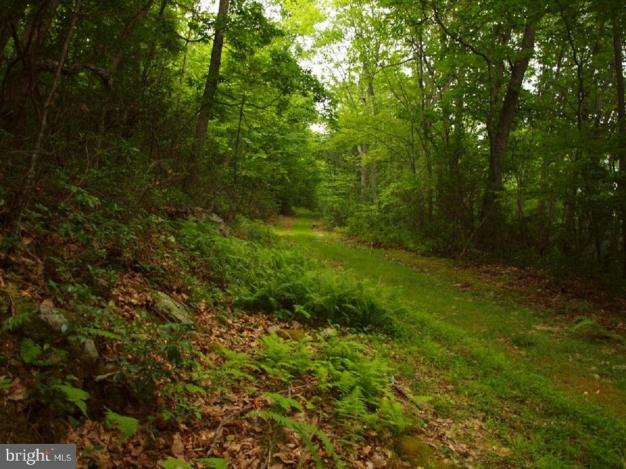 00 Long Mountain Rd, Franklin, WV 26807 - photo 1