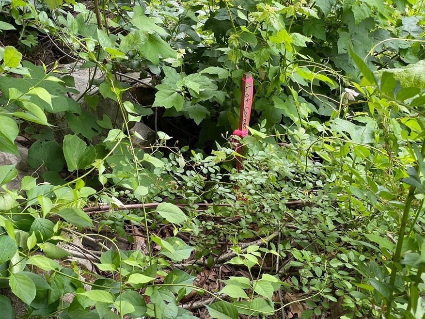 82 Sutton Rd, Webster, MA 01570 - photo 1