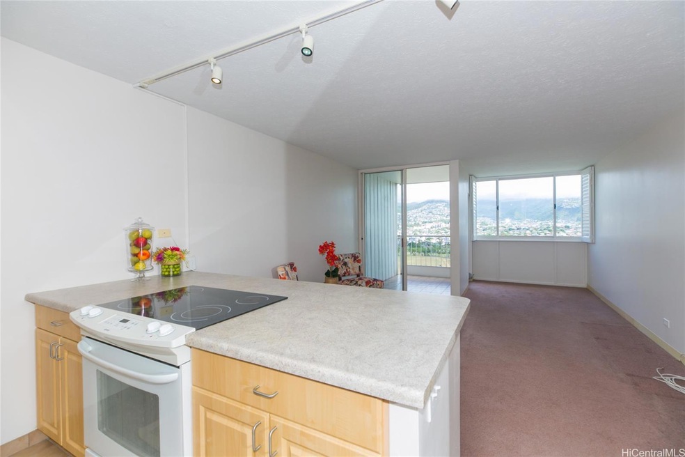 Open Kitchen Area with views to outside