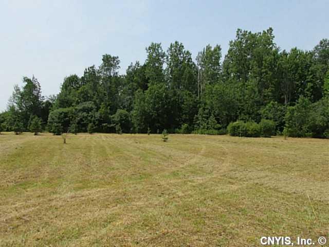 Land/Lot Nice level lot