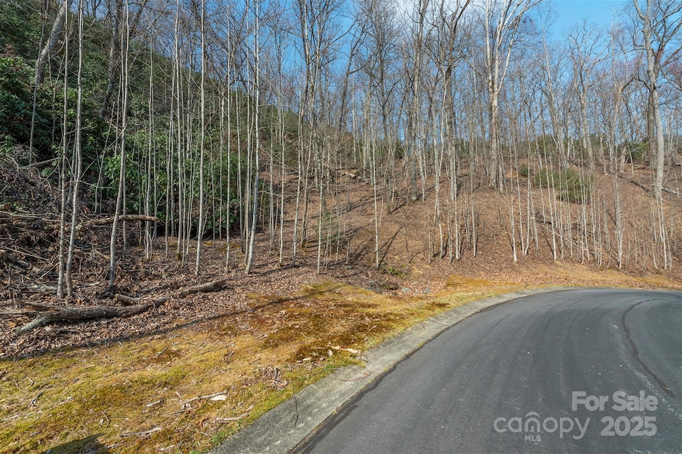 0 Shining Rock Path unit 12 CAR4241175, Horse Shoe, NC 28742 - photo 1