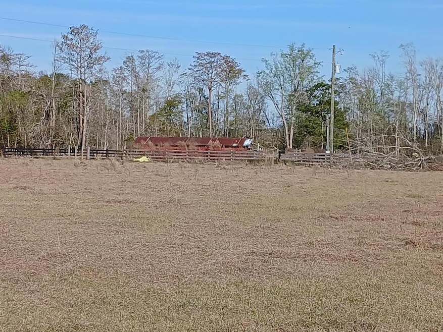 US 1 Us 1 and Hwy 23, Alma, GA 31510 - photo 1