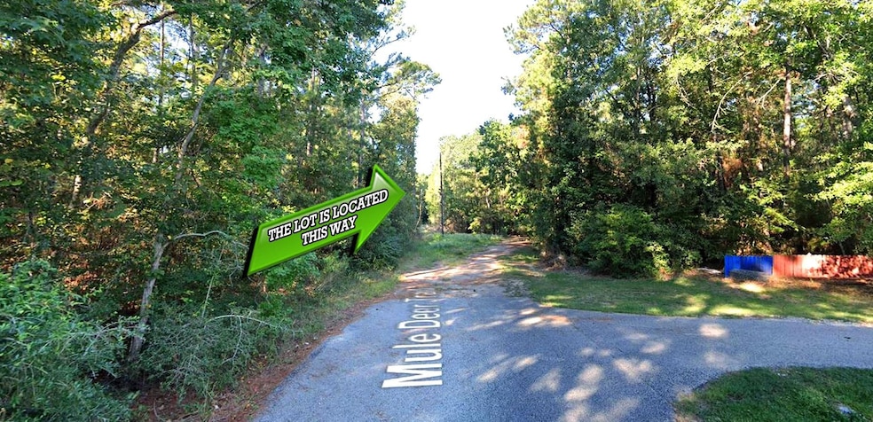 Mule Deer Cir, Onalaska, TX 77360 - photo 1