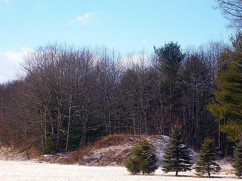 Land/Lot.