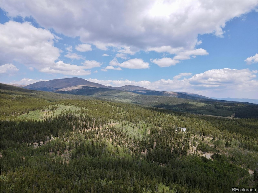 0 Beaver Creek Rd unit REC9026847, Alma, CO 80420 - photo 1