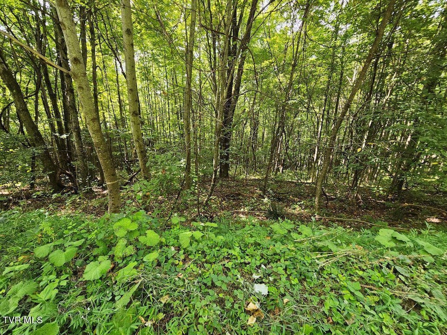Sold $27,800 • Co-Listing Agent