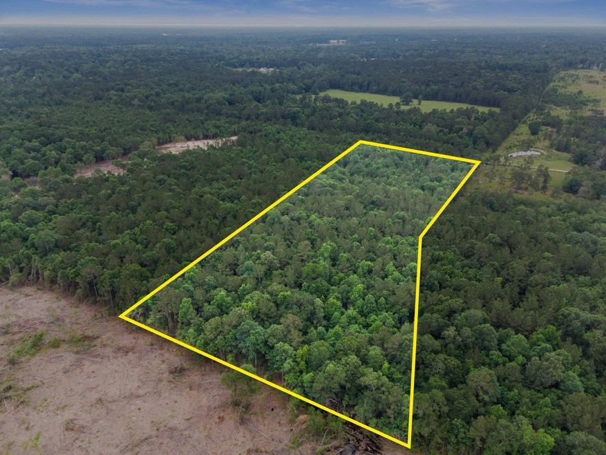 Tract 2 Smith Rd, Cleveland, TX 77328 - photo 1