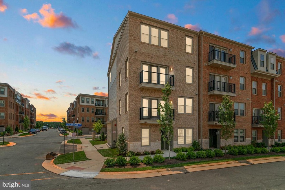 42887 Littlehales Terrace, Brambleton, VA 20148 - photo 1