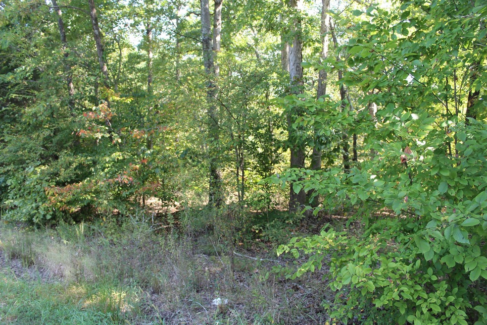 1 Hurricane Church Rd, Stewart, TN 37175 - photo 1