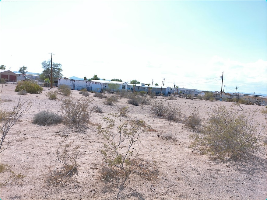 View of undeveloped land